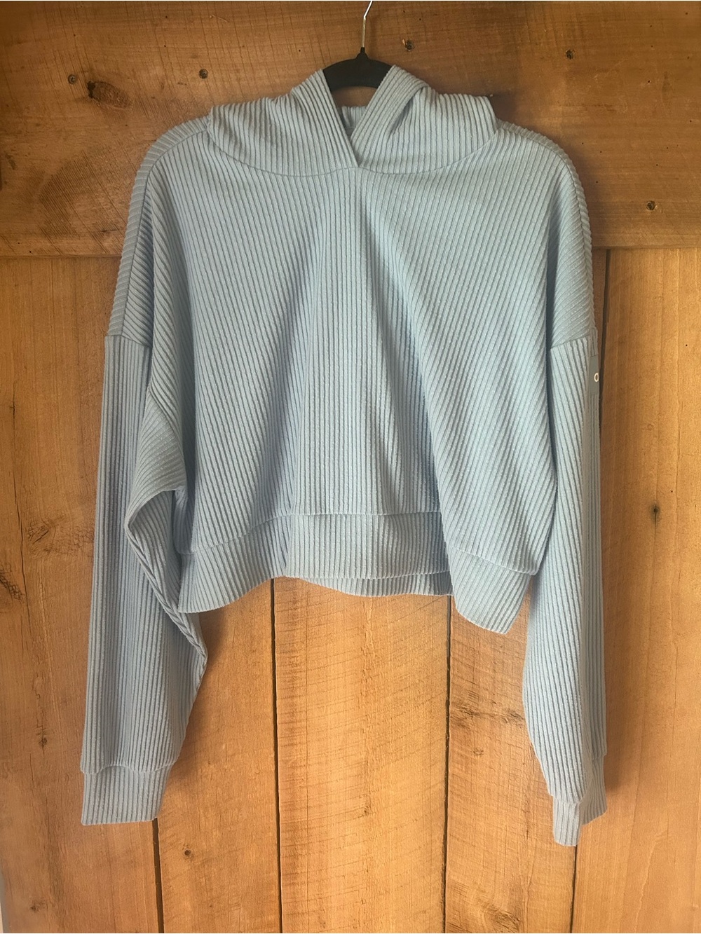 ALO Yoga Pale Blue Cropped Ribbed Hoodie